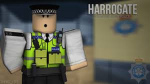 Met police CV