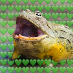 Phrög Cûłt