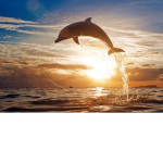 Extreme Water