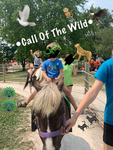 !~Call Of The Wild~!