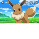 Mdonald100 pokemon group