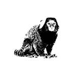 Marmoset Productions