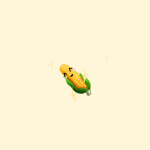 -|Sweet Corn|-