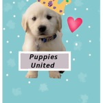 _-Puppies United-_