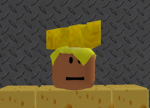 Cheese Developer's