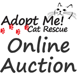 🐱 Cats Neon adopt me 🐱