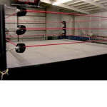 Roblox Wrestling Evolved (RWE)