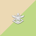 ADF | 2 Commando Regiment