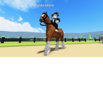 Gold star riding