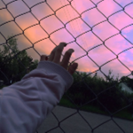 pink flurries