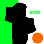 Boston Celtics Development Association