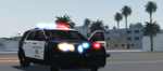 Reniatta Beach Police