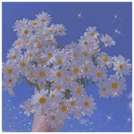 daiisy's garden (small daiisy fan group)