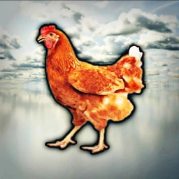 rare chicken game (halloween) icon