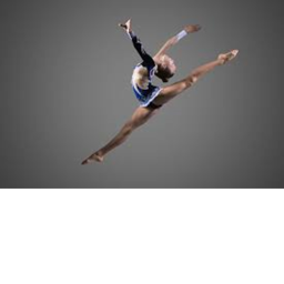 Lil' Gymnastics®'s Place Number: 0