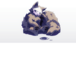 Seekers Fortune