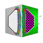 Out Of Bounds Octagon