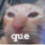 gat1t0