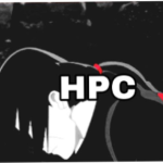 |HPC| Holy Realm Clothing.