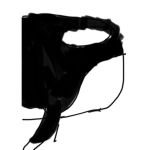 Killer orca