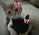 RikuXBlotto<33