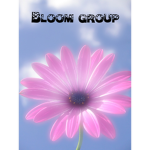 Bloom to happiness group