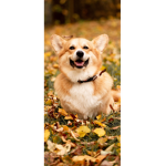 DOGS ARE THE BEST!!!!!!!!!!!!!!!!!!!!!!!!!