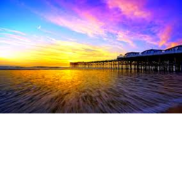 Hawaii Shack
