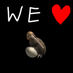 Mama Kiwi Group