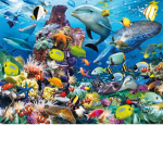 The Group about Fish!!!(Fish the sound goes Blob)