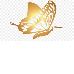 gold butterfly army home store