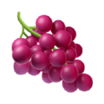 Grape Inc.