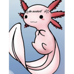 De axolotl’s