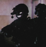 Ukrainian defense force (UDF)