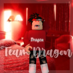 Team Dragonsss