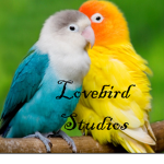 Lovebird Studios