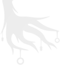 Perish Softworks