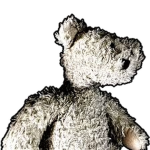 The Official Bear (Alpha) Rp Group
