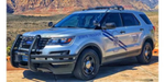Stoneville Metropolitan Police Department