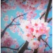 Sakura Island icon