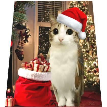 Christmas Meowl Cape
