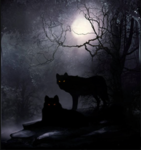 DarkWoods Pack
