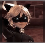 Cat noir oop