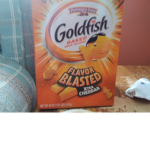 #the official goldfish group they're the official