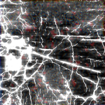 Confractus