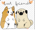 Pug and Corgi fan group