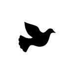 Black Dove Clothing