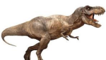 Fossil Fiends