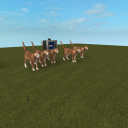 DA CATS