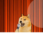 The doge show